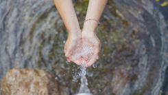 lake-263f456e-4b61-4601-8717-3969cd14dc24-0.jpg
